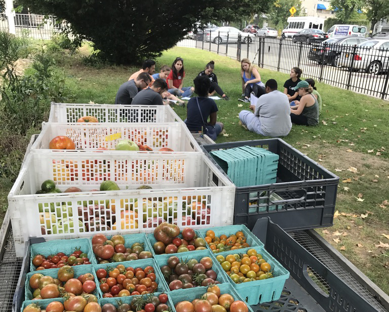 Project 8: Urban Agriculture